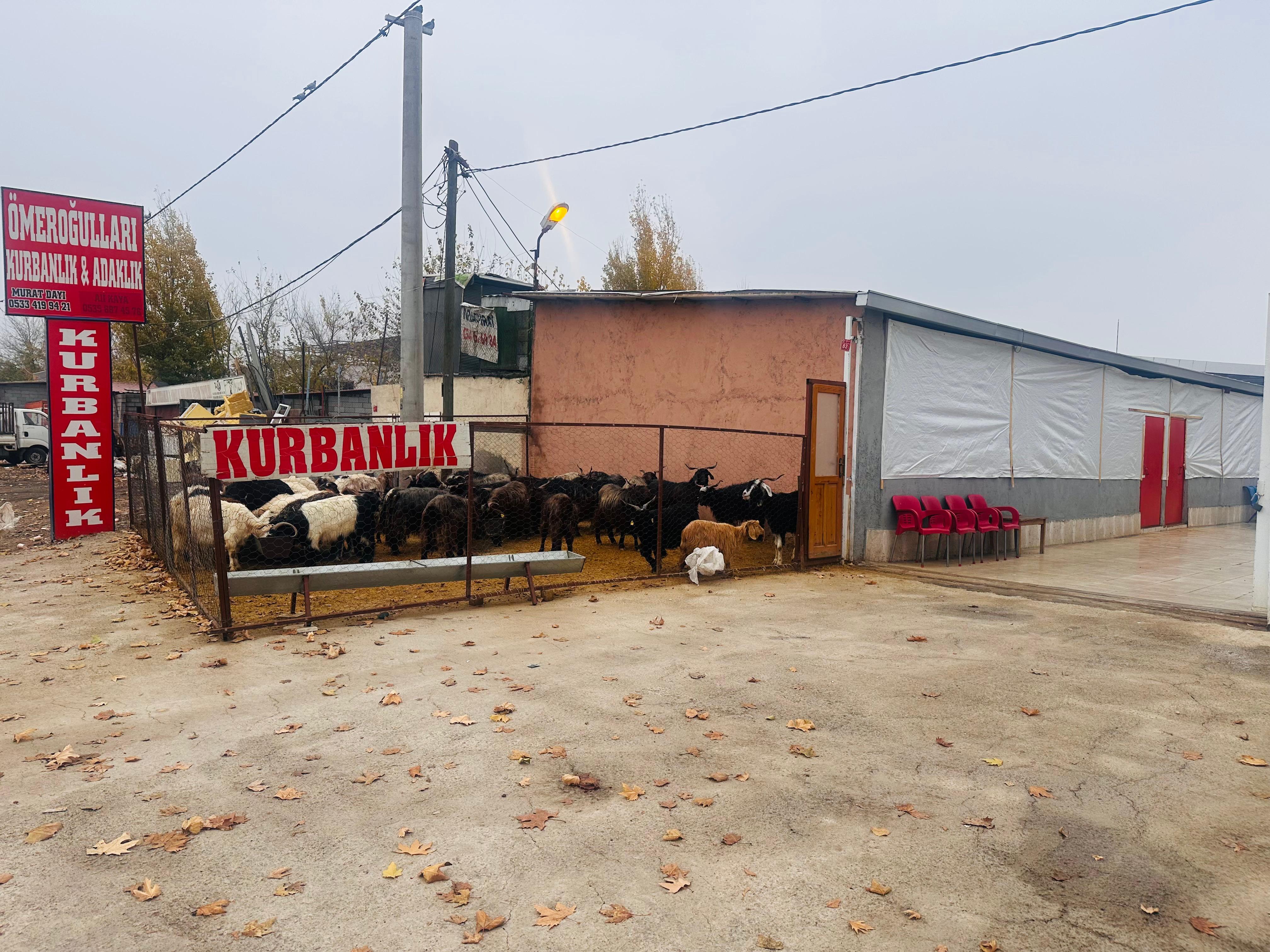 Diyarbakır Kurbanlık Adaklık Diyarı